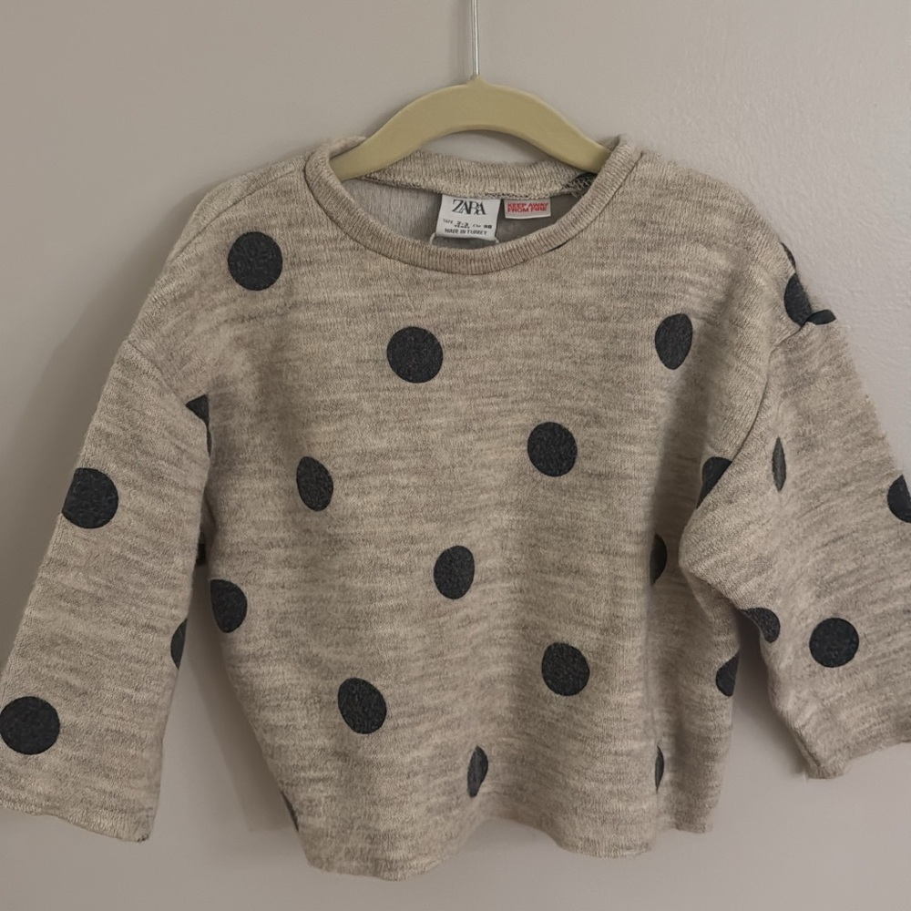 Zara Toddler Boy Sweater